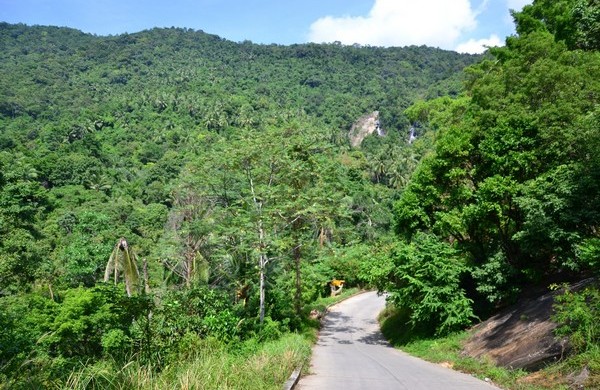 Koh samui21